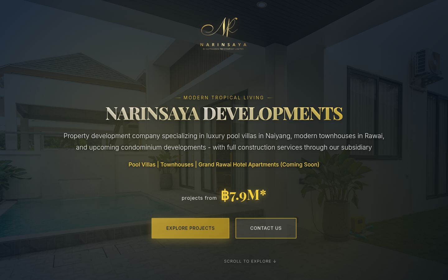 Narinsaya Developments · HOMEPAGE_SCREENSHOT